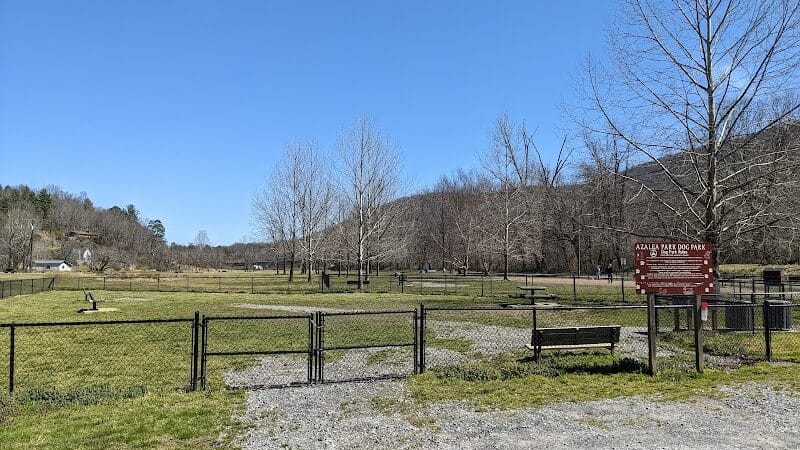 Azalea Road Dog Park - Asheville, NC