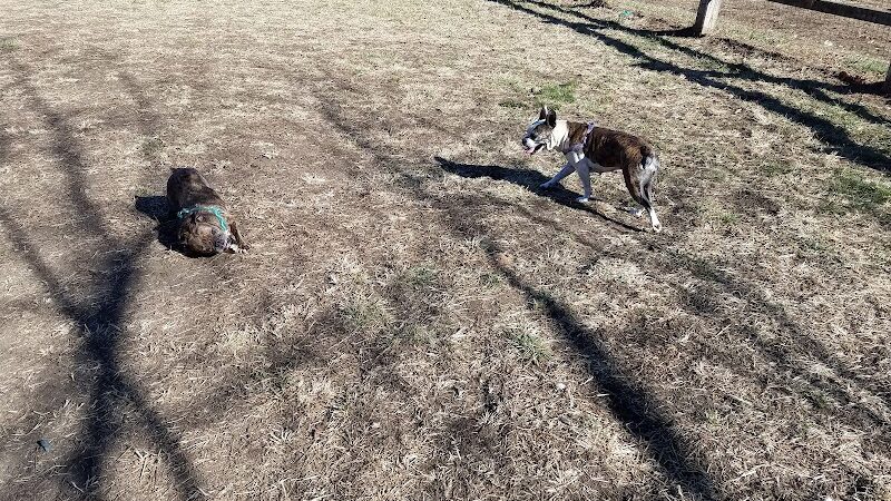 Azalea Road Dog Park - Asheville, NC