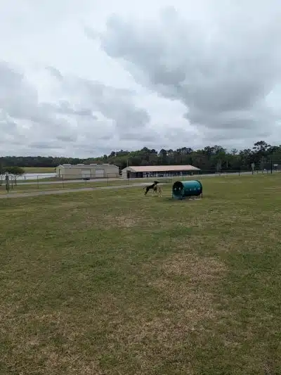 Eastgate Park - Ashford, AL
