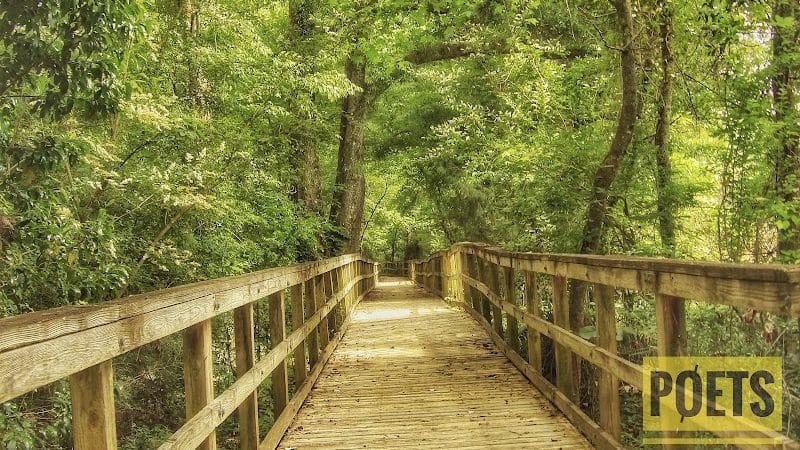 Eastgate Park - Ashford, AL