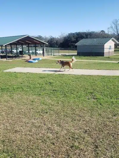 Eastgate Park - Ashford, AL