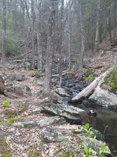 Tinkerville Brook Preserve - Ashford, CT