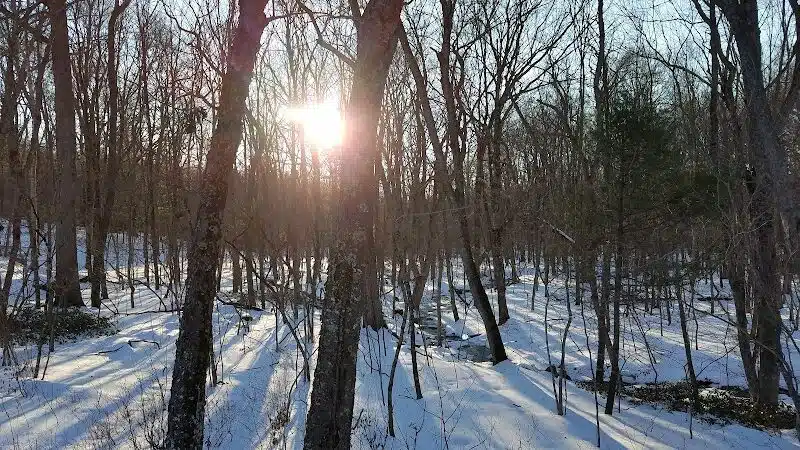 Tinkerville Brook Preserve - Ashford, CT