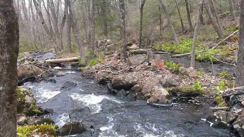 Tinkerville Brook Preserve - Ashford, CT