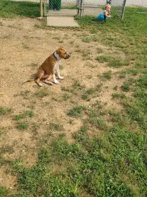 Ashland/Boyd CO Dog Park