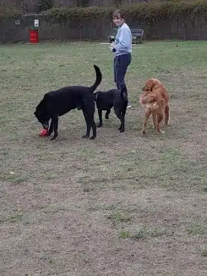 Ashland/Boyd CO Dog Park