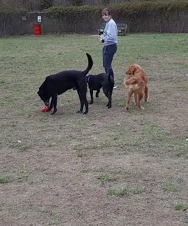 Ashland/Boyd CO Dog Park