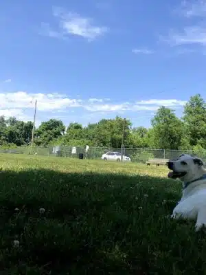 Ashland/Boyd CO Dog Park