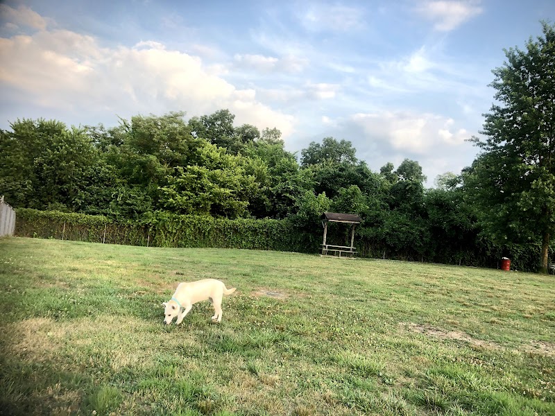 Ashland/Boyd CO Dog Park - Ashland, KY
