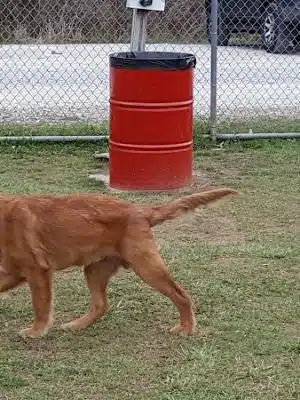 Ashland/Boyd CO Dog Park