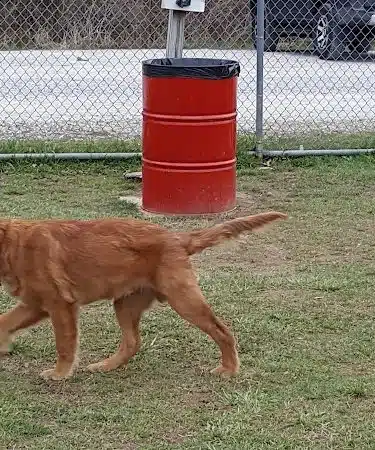 Ashland/Boyd CO Dog Park