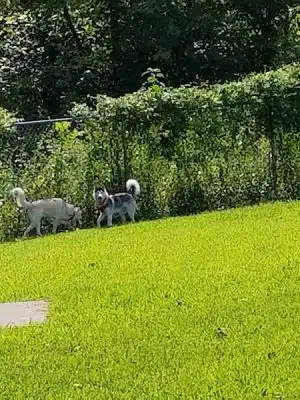 Ashland/Boyd CO Dog Park