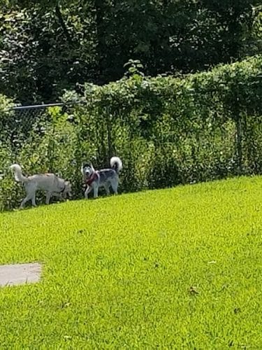 Ashland/Boyd CO Dog Park
