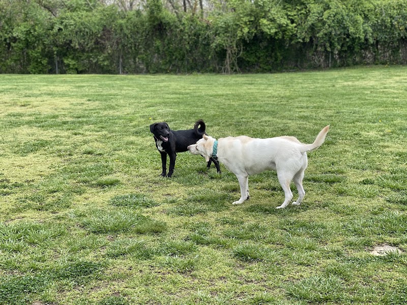 Ashland/Boyd CO Dog Park - Ashland, KY
