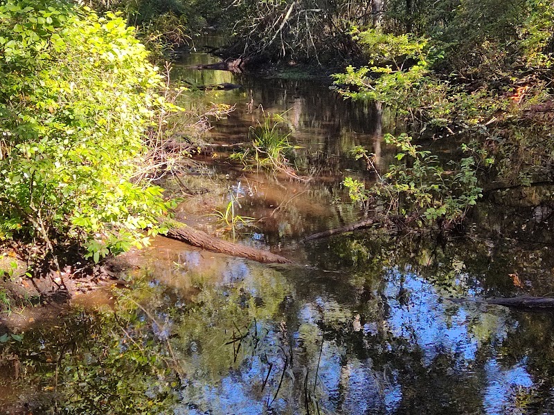 Marilyn Beard Trailhead Park - Atco, NJ
