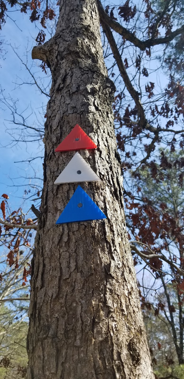 Marilyn Beard Trailhead Park - Atco, NJ