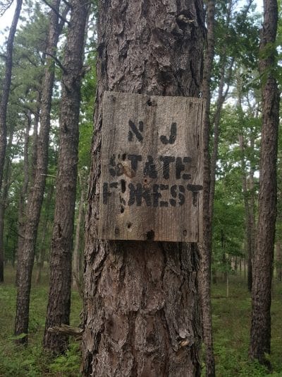 Marilyn Beard Trailhead Park - Atco, NJ