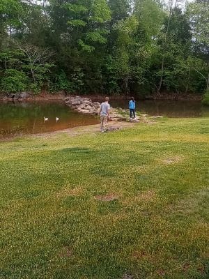 Prof Park Dog Park