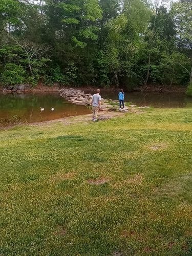 Prof Park Dog Park
