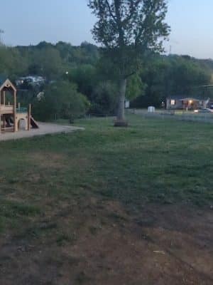 Prof Park Dog Park