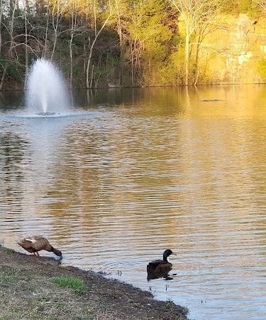 Knox Park