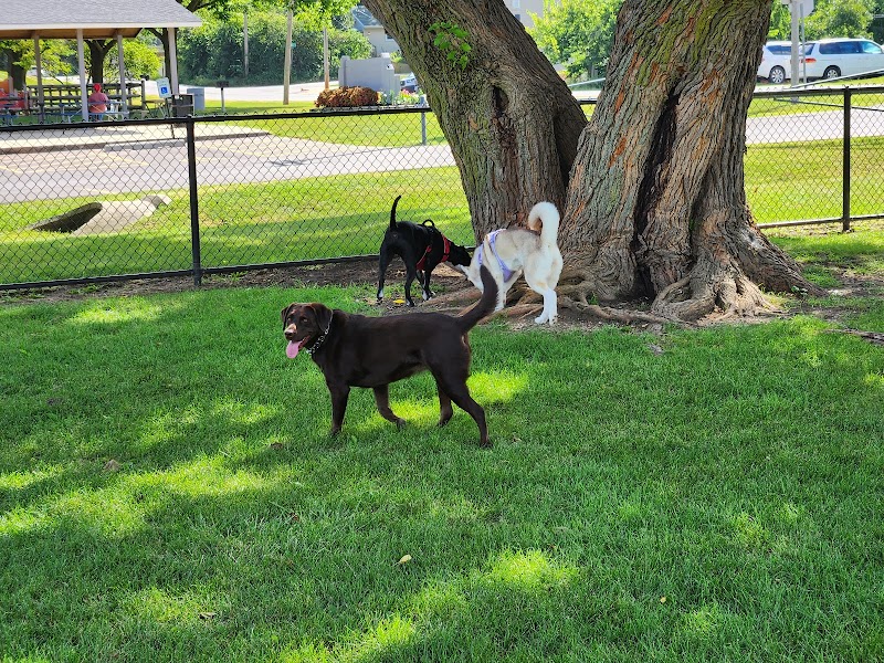 Dog Park at Phillips Park - Aurora, IL