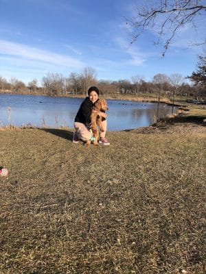 Dog Park at Phillips Park