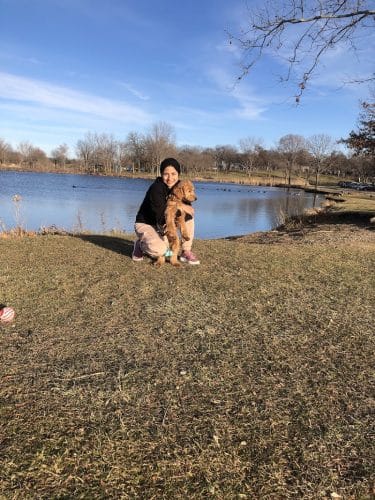 Dog Park at Phillips Park