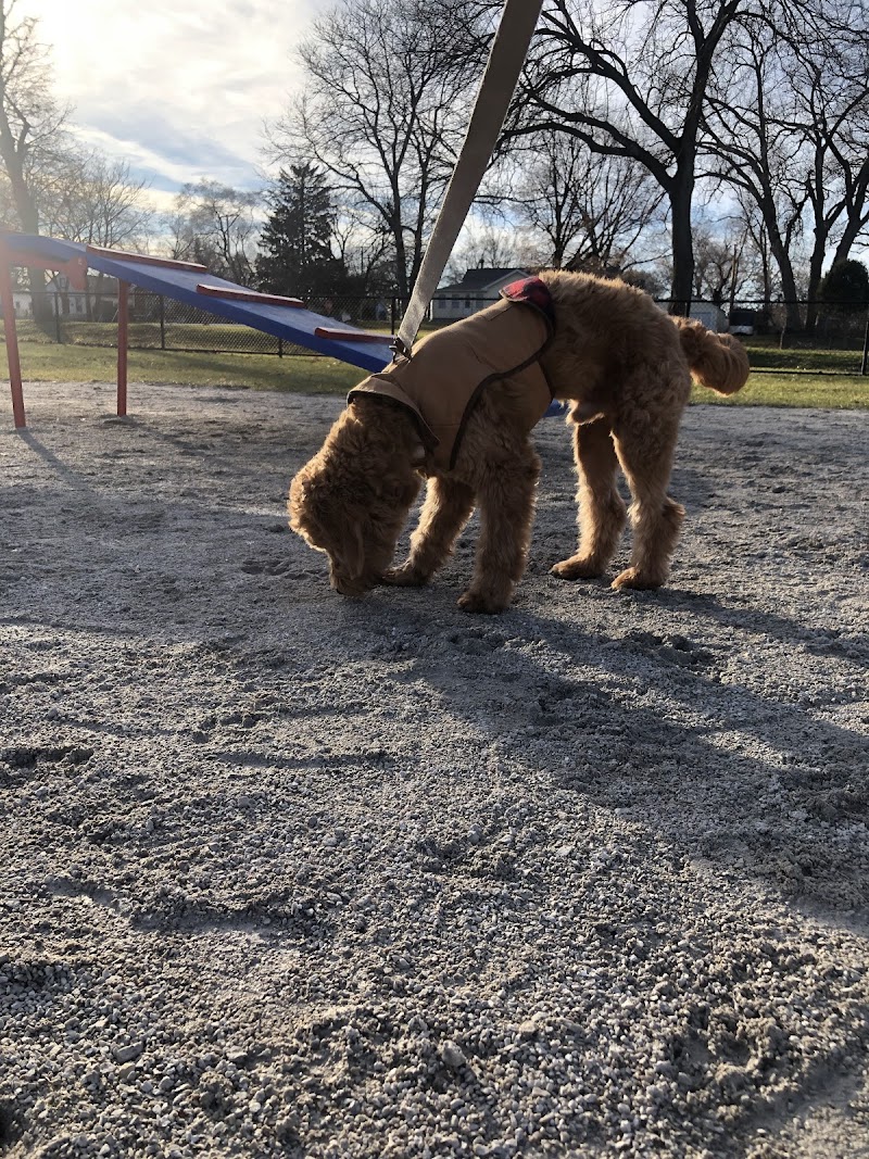 Dog Park at Phillips Park - Aurora, IL
