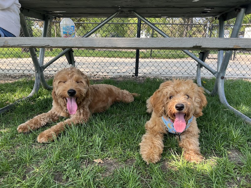 Lincoln Park Dog Park - Aurora, IL