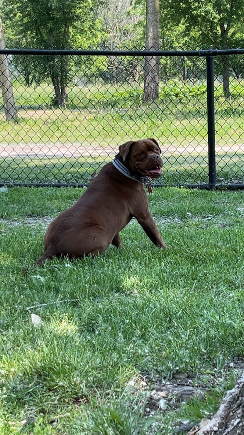 Lincoln Park Dog Park - Aurora, IL