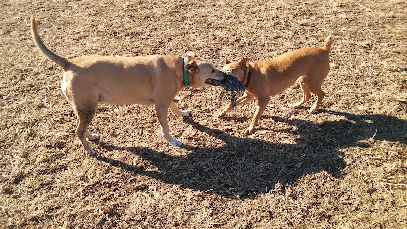 Wells Branch Dog Park - Austin, TX