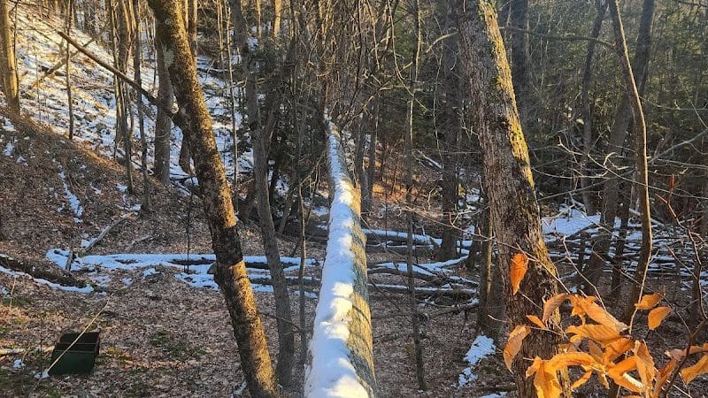 Poestenkill Community Forest - Averill Park, NY