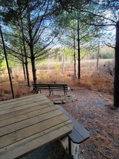 Poestenkill Community Forest - Averill Park, NY