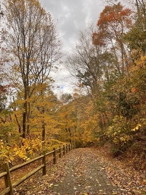 Edmon Trail