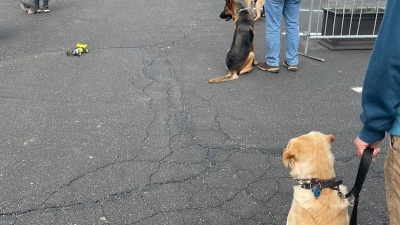 K9KEY - Baldwin, NY