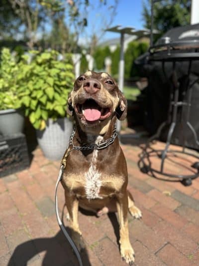 K9KEY - Baldwin, NY