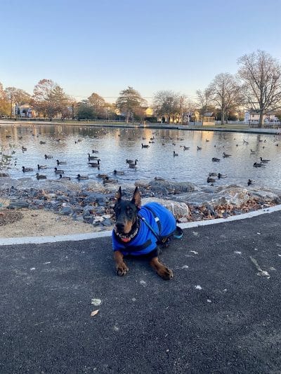 K9KEY - Baldwin, NY