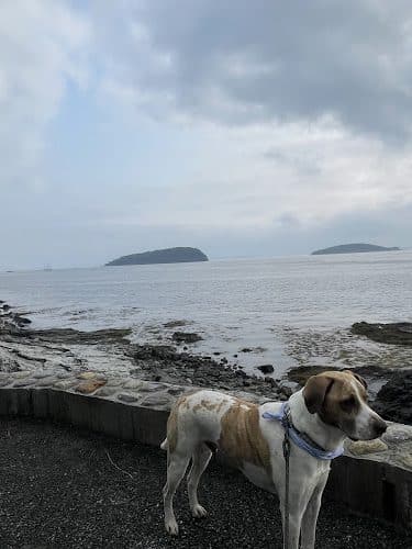 Bar Harbor Shore path