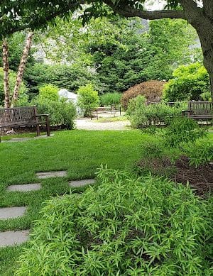 Barker Park