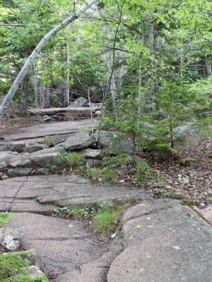 Beehive Trail