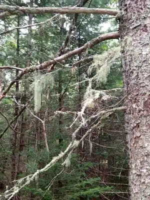 Blue Horizons Preserve