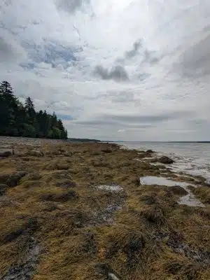 Blue Horizons Preserve