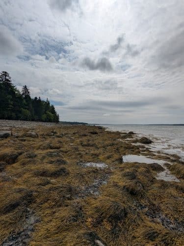 Blue Horizons Preserve