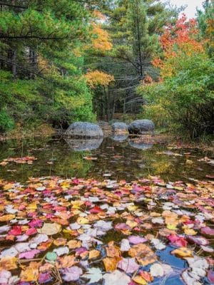 Bubble Pond Carriage Road Trailhead
