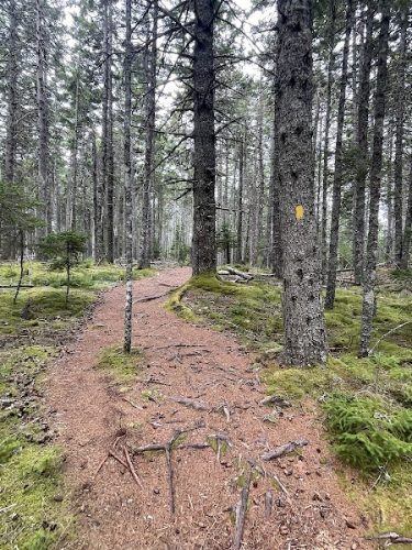 Indian Point Blagden Preserve