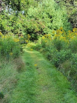 Indian Point Blagden Preserve