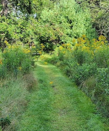 Indian Point Blagden Preserve