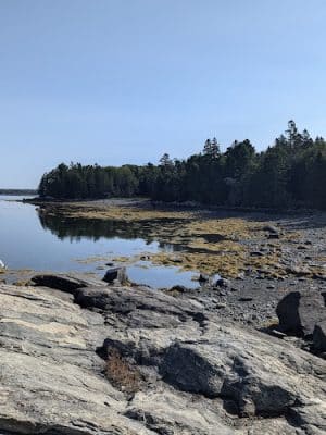 Indian Point Blagden Preserve