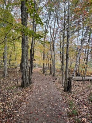 Jesup Path and Hemlock Path Loop